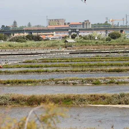 Dom wakacyjny Casa Clara Aveiro