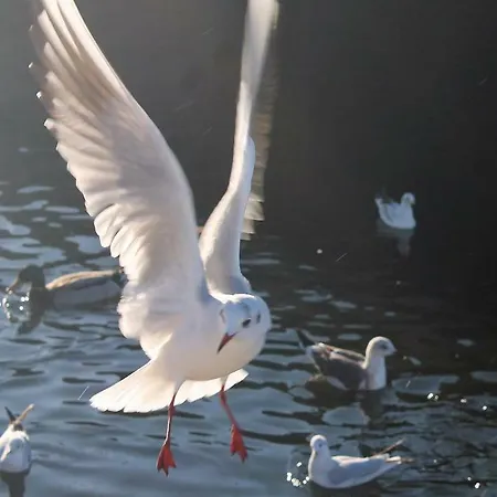 Casa Clara Σπίτι διακοπών *