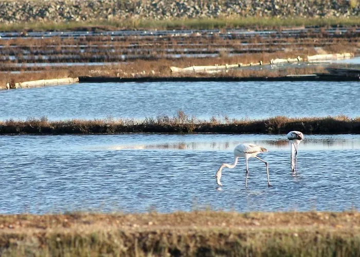 Casa Clara * אבאירו