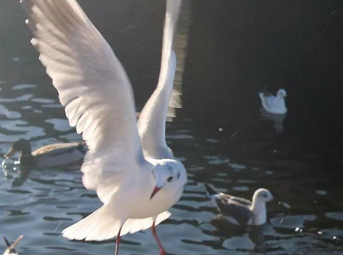 Casa Clara בית נופש *